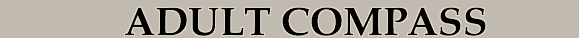 BOOKMARK ADULT COMPASS
